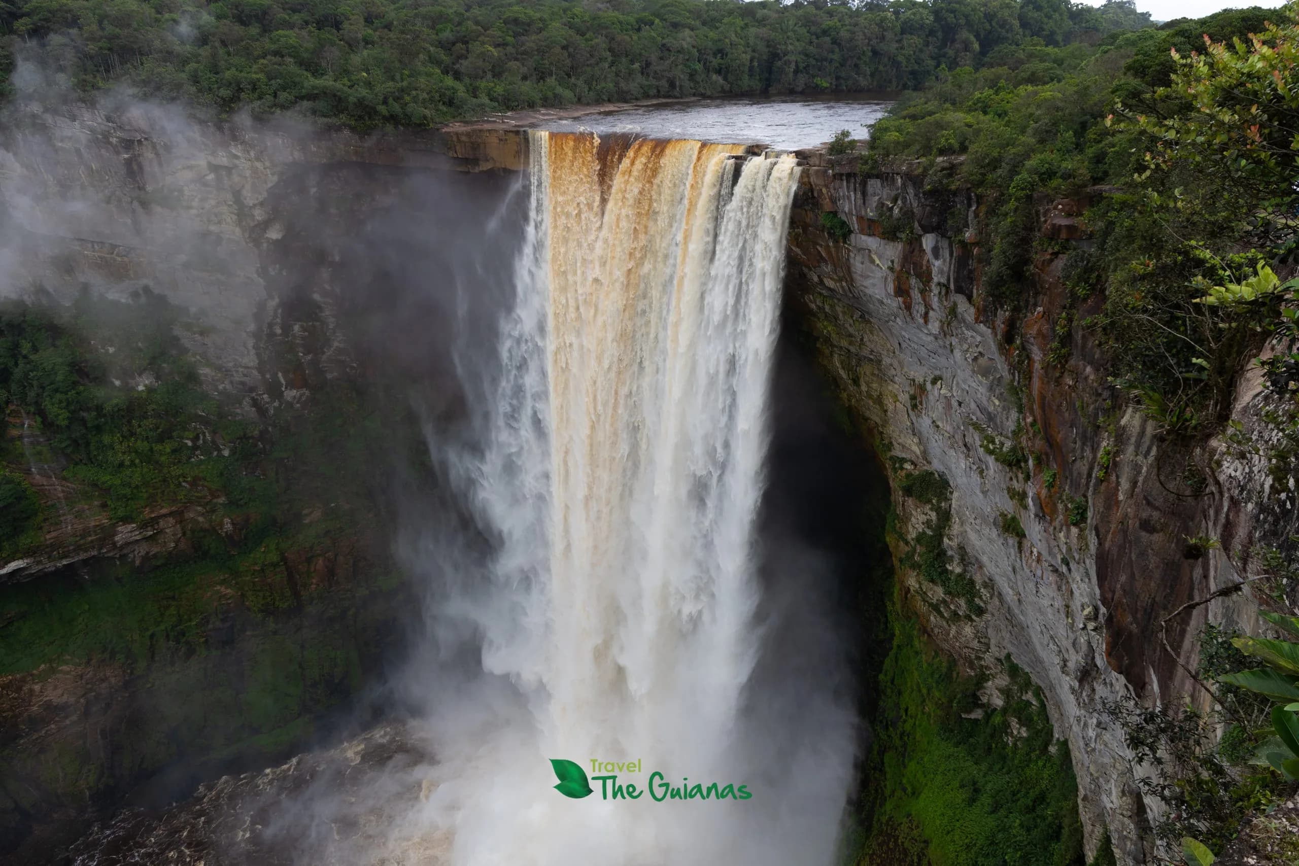 Fourteen-Day Guianas Expedition