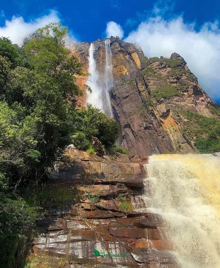 Six-Day Venezuela: Angel Falls Expedition