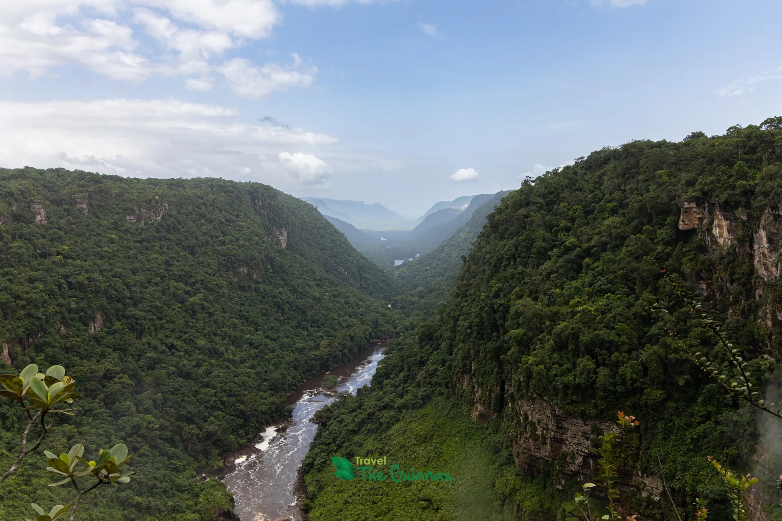 Fredberg jungle landscape