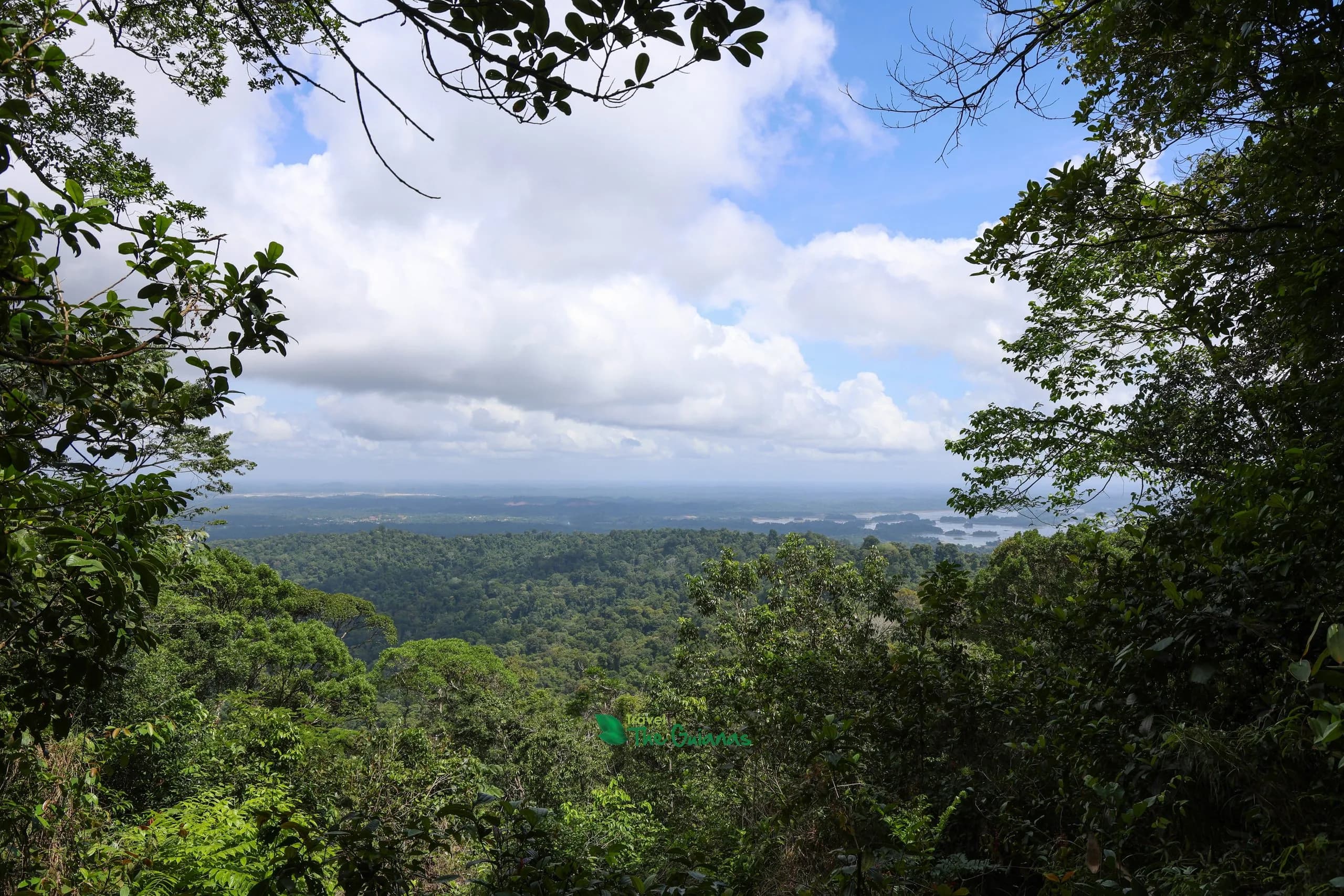 Brownsberg Nature Park Day Tour